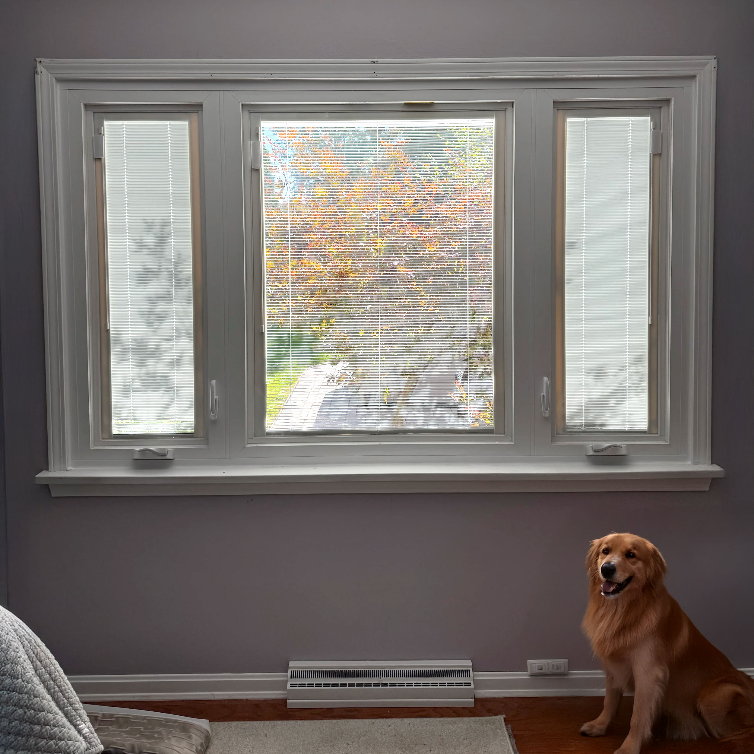 Windows With Blinds Inside: The Low-Maintenance Window Upgrade Cincinnati Homeowners Love.